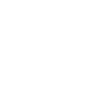earthing category icon