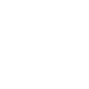 identification category icon